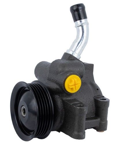 Насос ГПК Ford Fiesta 1.6 01-09, RAISO (RG0190) Насос ГПК Ford Fiesta 1.6 01-09, RAISO (RG0190)