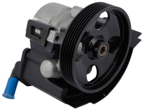 Насос ГПК Citroen Berlingo/Peugeot Partner 2.0HDI 99- (125mm), RAISO (RG0112)