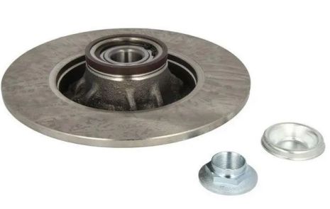 Гальмівний диск задній Citroen C4 09-/Peugeot 308 (з підшипником) 07- (249x9), RAISO (RD9980)