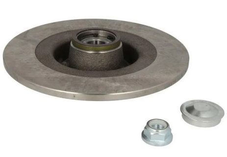 Гальмівний диск задній Reanult Scenic II/Megane II (з підшипником) 03- (270х10), RAISO (RD4943)