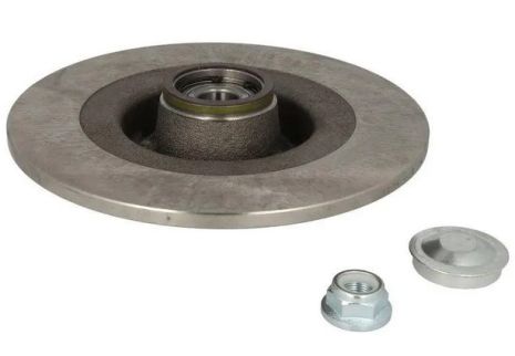 Гальмівний диск задній Reanult Scenic II/Megane II (з підшипником) 03- (270х10), RAISO (RD4943)