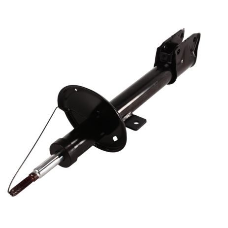 Амортизатор задній Duster (4x4) 10- (газ.), RAISO (ST290316)