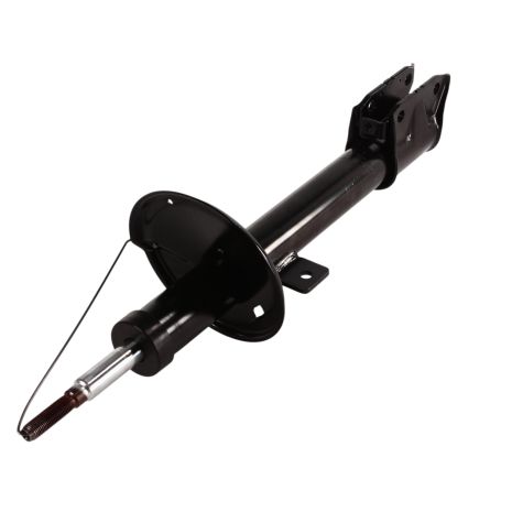 Амортизатор задній Duster (4x4) 10- (газ.), RAISO (ST290316)