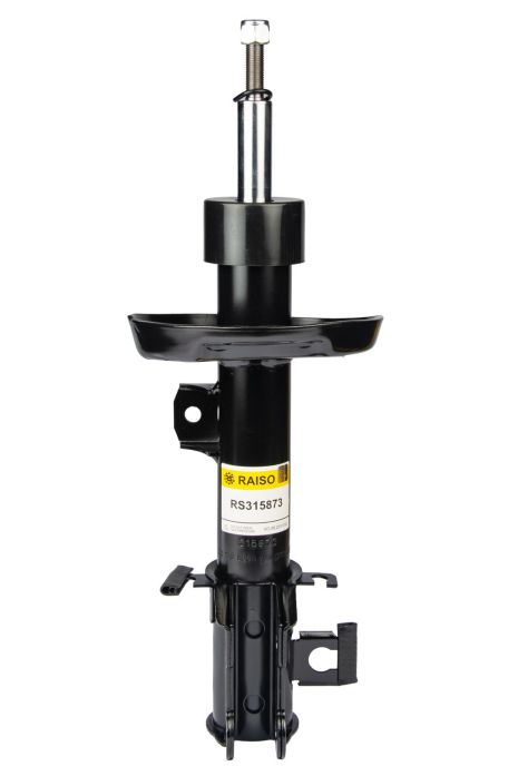 Амортизатор передний, Punto/Grande Punto 05- (газ,), RAISO (RS315873)
