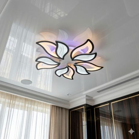 Лід люстра пелюстки в вітальню Diasha 130W до 20 м² колір Чорний 9033/5BK 3col dim