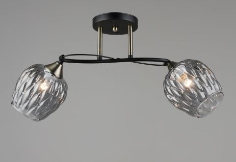 Люстра стельова Sirius B C1717/2 на 2 плафони