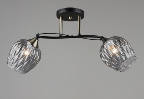 Потолочная люстра Sirius B C1717/2 на 2 плафона