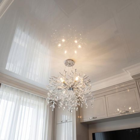 Світильник форма гілка Diasha цоколь E14 ламп 6 шт. колір Хром P8058/D500HR