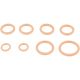 Уплотнительное кольцо патрубка интеркулера для Renault Logan/Sandero 05-18, FEBEST (24400003KIT)