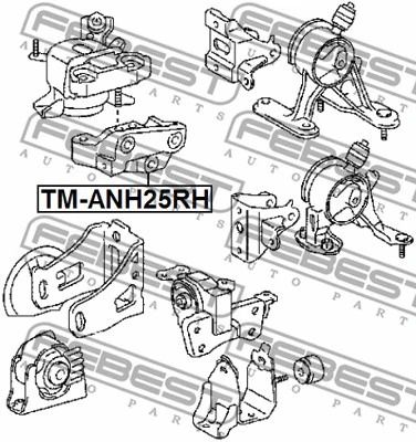 Подушка двигателя правая (гидравлика) Toyota Alphard/RAV 4/Previa III, FEBEST (TMANH25RH)