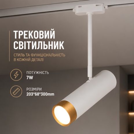 Спот світильник Sirius RN228 WT+GD Спот світильник Sirius RN228 WT+GD