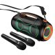 Акустика-караоке HOCO Cool light RGB BT speaker DS67 IPX5 |BT5.4, TWS, USB/AUX/TF, 30Wx2, 8.5h| black