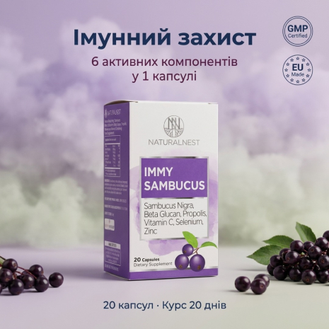 Дієтична добавка для підсилення імунітету Naturalnest, 20 рослинних капсул