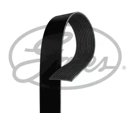 Доріжковий пас, GATES (12PK717)