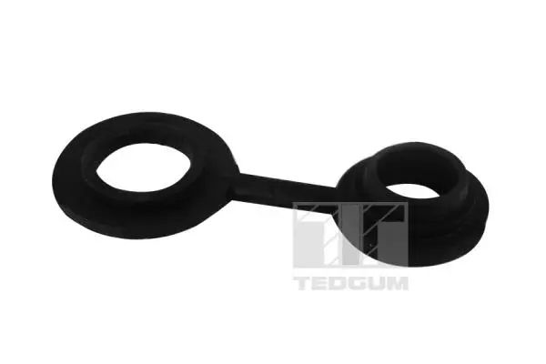 Крепление двигателя, NISSAN PRIMASTAR, OPEL VIVARO, TEDGUM (00581389) Крепление двигателя, NISSAN PRIMASTAR, OPEL VIVARO, TEDGUM (00581389)
