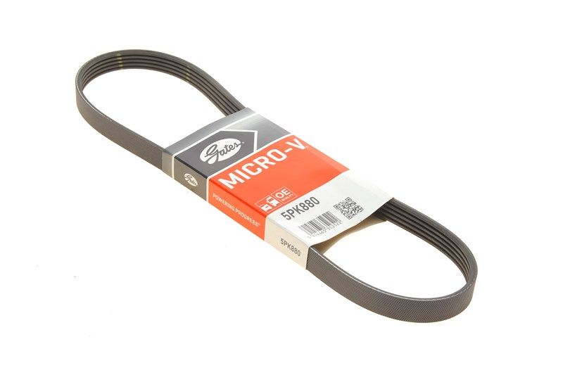 Пас поликлин. 5PK880 , GATES (5PK880) Пас поликлин. 5PK880 , GATES (5PK880)