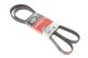 6PK1678 (8653-10363) Ремень (поликлиновый) GATES MICRO-V HORIZON, GATES (6PK1678)