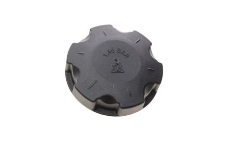 Пробка расш. бачка 1 BMW E81/87/F20,2,3 E90/F30,4,5 F10/G30,7 F01/G11,X1/3 F25,X4,X7 E…, FEBI BILSTEIN (46221) Пробка расш. бачка 1 BMW E81/87/F20,2,3 E90/F30,4,5 F10/G30,7 F01/G11,X1/3 F25,X4,X7 E…, FEBI BILSTEIN (46221)