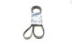 1987947998 BOSCH Дорiжковий ремінь 6PK2450 1987947998 BOSCH Дорiжковий ремінь 6PK2450