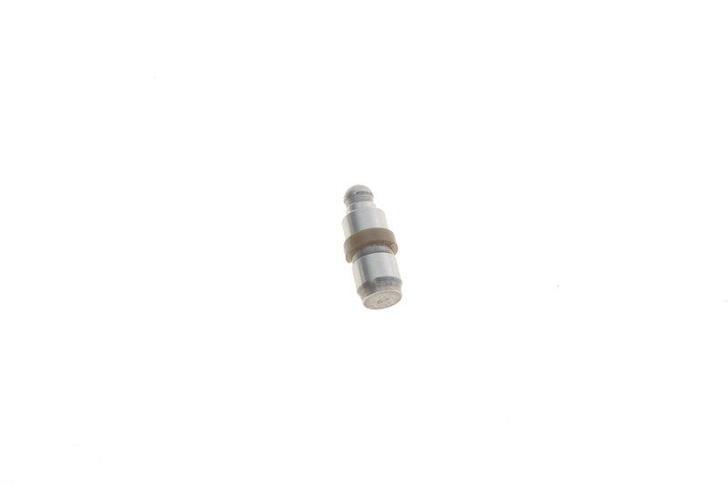 Толкатель, BMW (BRILLIANCE), INA (420018810) Толкатель, BMW (BRILLIANCE), INA (420018810)