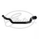 Формованный патрубок обогревателя, RENAULT 7700434301, RENAULT THALIA, GATES (021857) Формованный патрубок обогревателя, RENAULT 7700434301, RENAULT THALIA, GATES (021857)