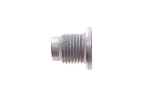 Резьбовая пробка, масляный поддон, MERCEDES-BENZ T-CLASS, NISSAN X-TRAIL, FEBI BILSTEIN (48880) Резьбовая пробка, масляный поддон, MERCEDES-BENZ T-CLASS, NISSAN X-TRAIL, FEBI BILSTEIN (48880)