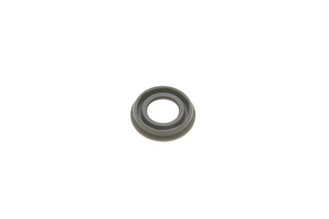 Seal Ring, spark plug shaft, SKODA RAPID, SEAT IBIZA, Vika (11031790501)