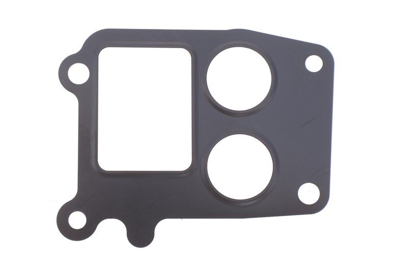 Прокладка, FIAT STILO, VAUXHALL ASTRAVAN, ELRING (808340) Прокладка, FIAT STILO, VAUXHALL ASTRAVAN, ELRING (808340)