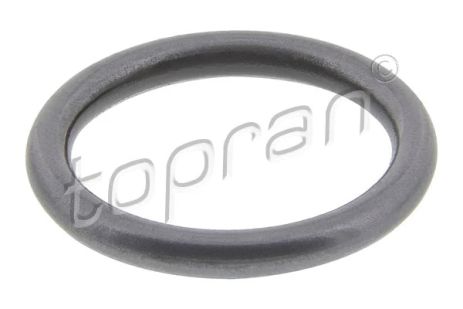Уплотнительное кольцо, клапанная форсунка, VW JETTA, AUDI A6, TOPRAN (100678) Уплотнительное кольцо, клапанная форсунка, VW JETTA, AUDI A6, TOPRAN (100678)