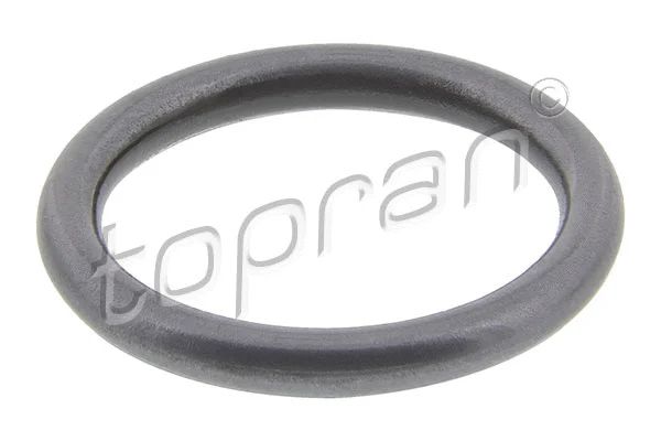 Уплотнительное кольцо, клапанная форсунка, VW JETTA, AUDI A6, TOPRAN (100678) Уплотнительное кольцо, клапанная форсунка, VW JETTA, AUDI A6, TOPRAN (100678)