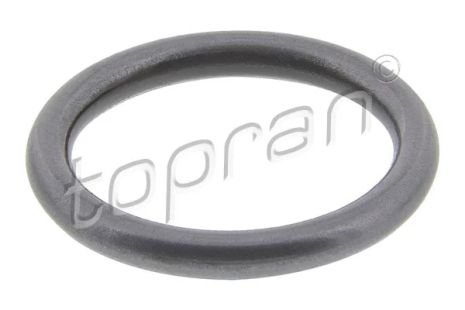 Уплотнительное кольцо, клапанная форсунка, VW JETTA, AUDI A6, TOPRAN (100678) Уплотнительное кольцо, клапанная форсунка, VW JETTA, AUDI A6, TOPRAN (100678)