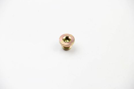 Пробка масляного поддона Trafic/Vivaro/Movano 16x1.5mm, ASAM (30385)