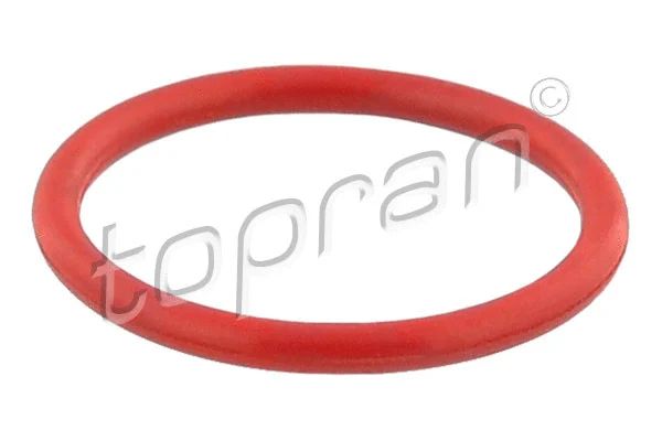 Прокладка, компрессор, CUPRA FORMENTOR, SKODA KODIAQ, TOPRAN (116630) Прокладка, компрессор, CUPRA FORMENTOR, SKODA KODIAQ, TOPRAN (116630)