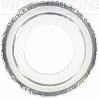 Seal Ring, valve stem, ARO SPARTANA, VOLVO 340-360, VICTOR REINZ (702579200)