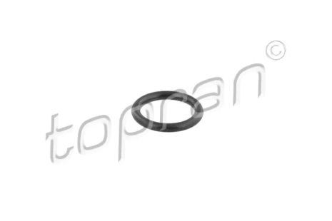Уплотнительное кольцо, клапанная форсунка, AUDI A6, TOPRAN (109640) Уплотнительное кольцо, клапанная форсунка, AUDI A6, TOPRAN (109640)