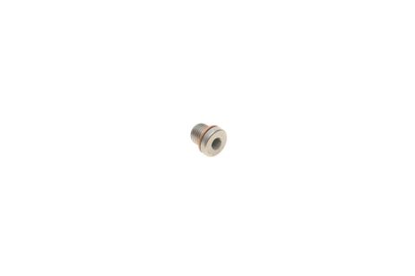 Резьбовая пробка, масляный поддон, AUDI TT, SEAT ALHAMBRA, FEBI BILSTEIN (101020) Резьбовая пробка, масляный поддон, AUDI TT, SEAT ALHAMBRA, FEBI BILSTEIN (101020)