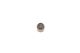 Seal Ring, valve stem 012410 SAIPA SUZUKI