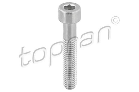 Болт, корпус скобы тормоза, VW JETTA, TOPRAN (110708)