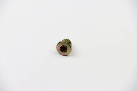 Пробка масляного поддона Trafic/Vivaro/Movano 16x1.5mm, ASAM (80102)