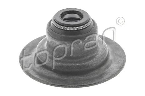 Seal Ring, valve stem, FORD ESCORT, TOPRAN (300524)