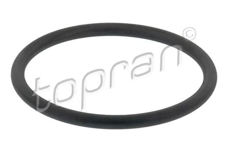 Прокладка, корпус воздушного фильтра, CUPRA FORMENTOR, MITSUBISHI LANCER, TOPRAN (113883)