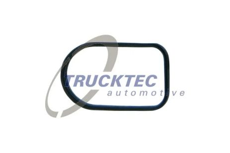 Прокладка впускного коллектора, MERCEDES-BENZ SPRINTER, TRUCKTEC (0216051) Прокладка впускного коллектора, MERCEDES-BENZ SPRINTER, TRUCKTEC (0216051)
