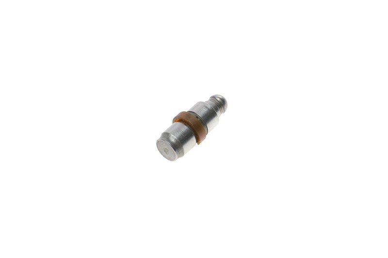Гідрокомпенсатор AUDI,VWCITROENFIATFORDLANCIA,DBPEUGEOTRENAULT,SEATSKODA,SSANG YONG, FEBI BILSTEIN (28317) Гідрокомпенсатор AUDI,VWCITROENFIATFORDLANCIA,DBPEUGEOTRENAULT,SEATSKODA,SSANG YONG, FEBI BILSTEIN (28317)