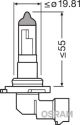 Лампа H10 12V 45W PY20d