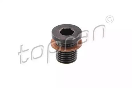 Болт слива поддона, VOLKSWAGEN N90856002, SEAT N90856002, HANS PRIES TOPRAN (115351) Болт слива поддона, VOLKSWAGEN N90856002, SEAT N90856002, HANS PRIES TOPRAN (115351)