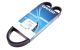 Ремень поликлиновый (DAYCO), DAYCO (4PK1013) Ремень поликлиновый (DAYCO), DAYCO (4PK1013)