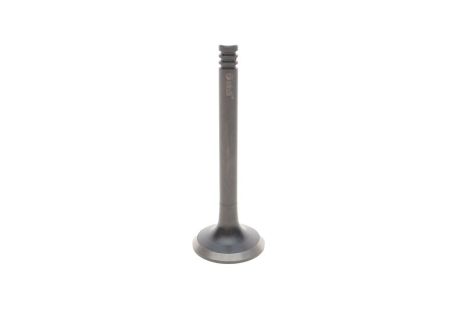 Выпускной клапан, VW PASSAT, SEAT IBIZA, VIKA (11090213901)