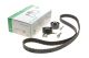 Ремкомплект грм Citroen/Peugeot, INA 530023810 Ремкомплект грм Citroen/Peugeot, INA 530023810