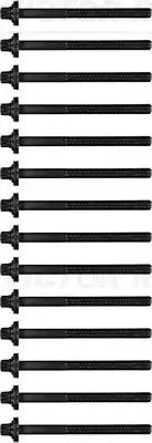 b_Комплект болтів ГБЦ BMW 3(E46,E39),5(E60,E34)