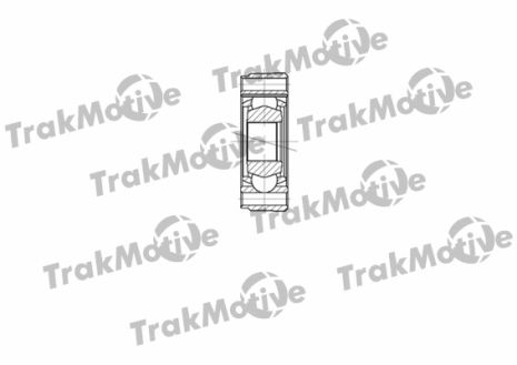 ШРУС в сборе, комплект SEAT IBIZA, FIAT REGATA, TRAKMOTIVE (450098)